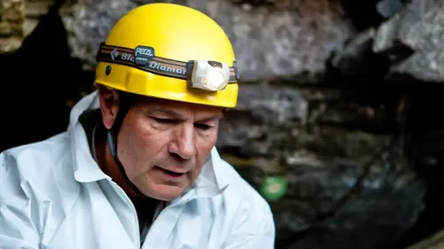 Voyage dans le surnaturel Animal Apocalypse