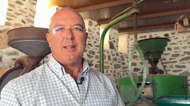 Canaries : le gofio escaldado