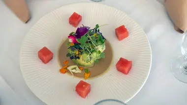 Floride : le stone crab