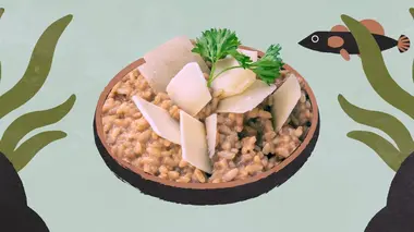 Venise : le risotto di gò