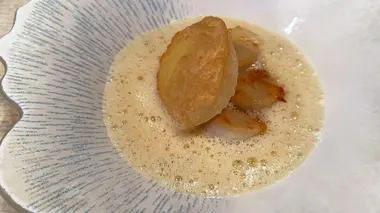 Normandie : la coquille Saint-Jacques