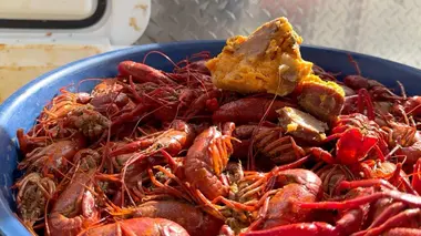 Louisiane : les écrevisses cajun