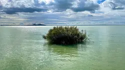 Voyage en eaux calmes