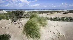 Voyage en eaux froides