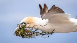 Voyage en eaux froides