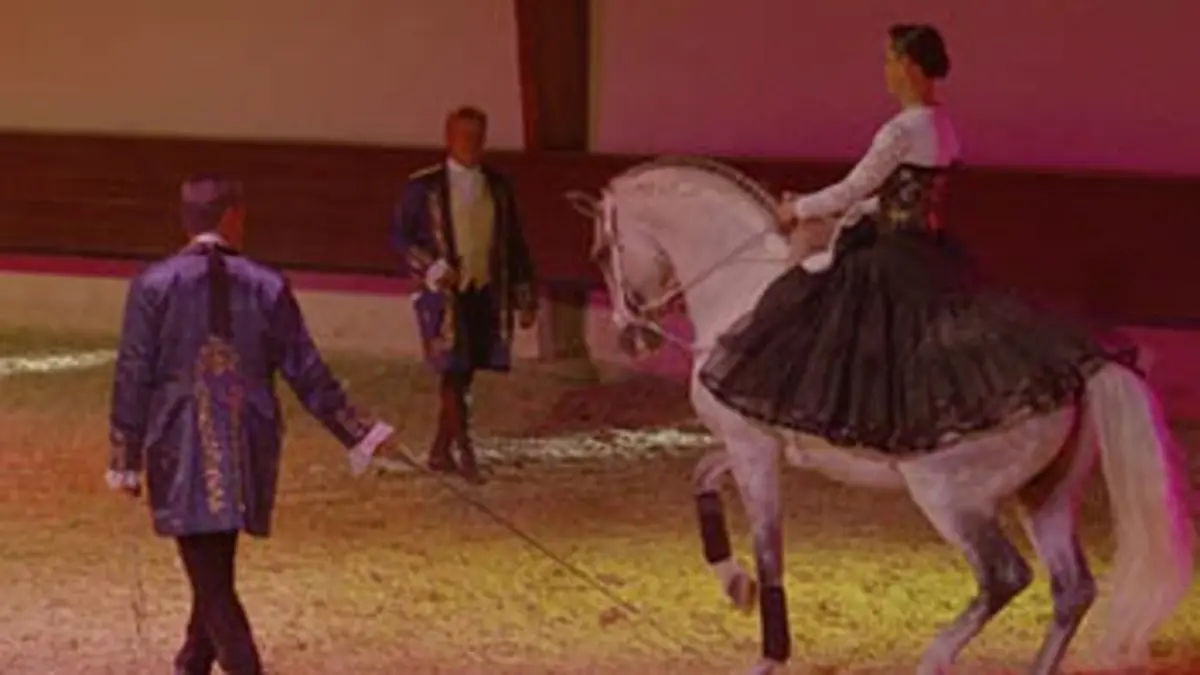 Voyage en terres Hasta Luego