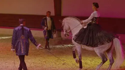 Voyage en terres Hasta Luego