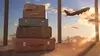 Voyage express