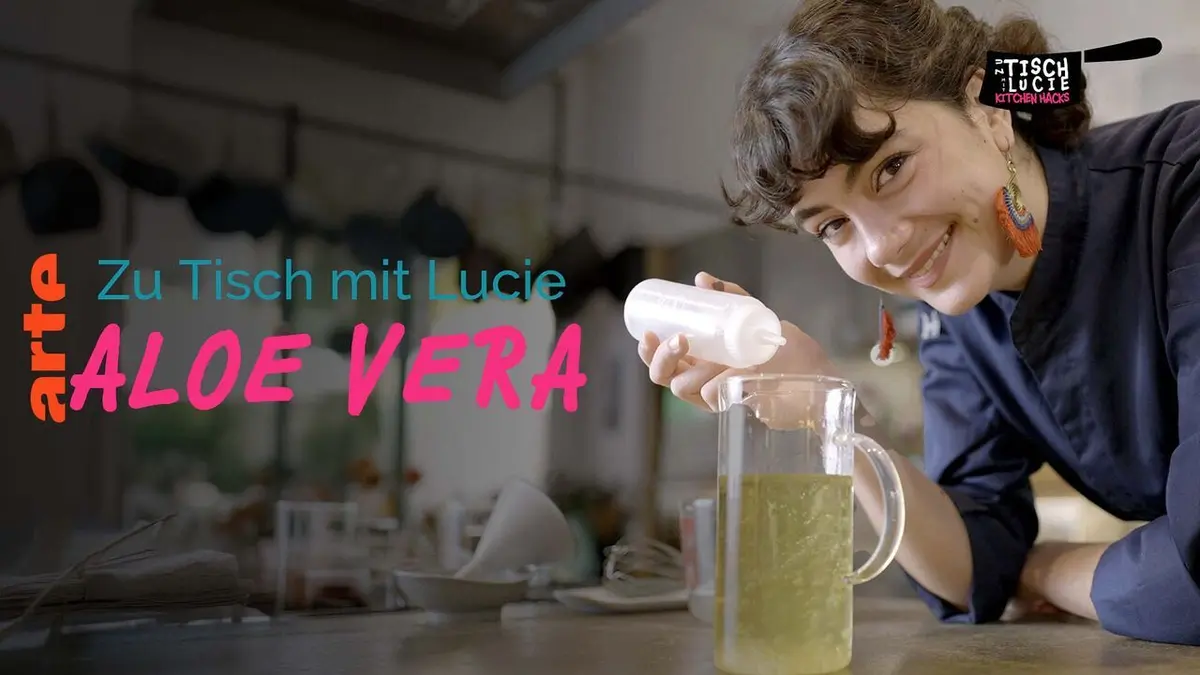 Voyage gourmand L'aloe vera