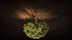 Voyage sous nos pieds