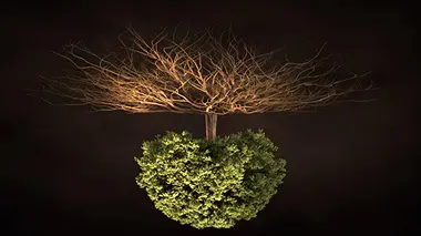 Les entrailles du sol