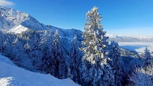 Voyage vers nos cimes Survivre dans les hauteurs