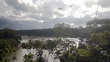 Au Pérou : le parc national du Manu