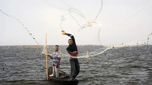 Voyages au bout du monde avec Art Wolfe