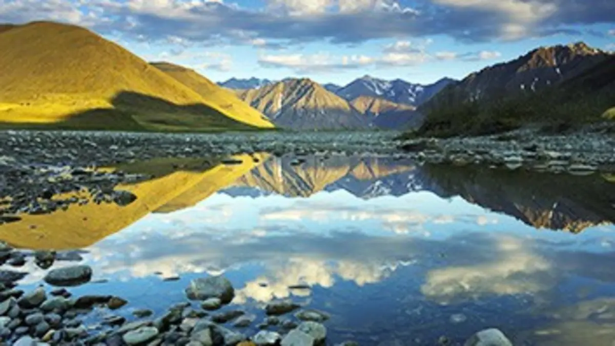 Voyages au bout du monde avec Art Wolfe S01E00 Alaska : l'Arctic National Wildlife Refuge