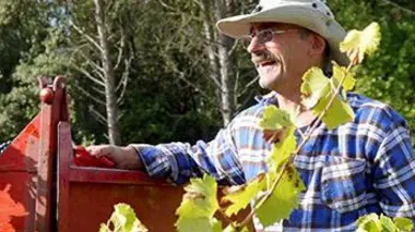 De la vallée du Rhône à la Provence