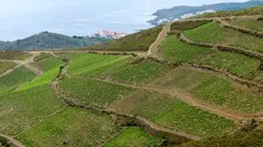 Du Languedoc au Roussillon