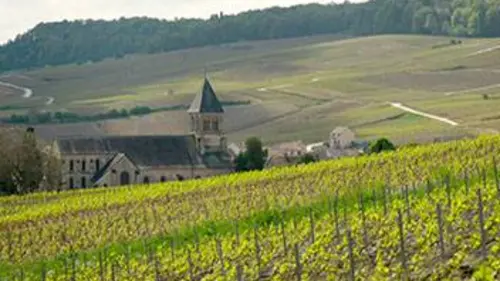Voyages au pays des vins de terroir