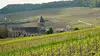 Voyages au pays des vins de terroir E04 De la vallée de la Loire à l'Alsace