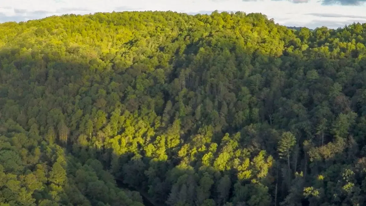 Voyages aux Amériques S07E07 USA, Blue Ridge Parkway, de la Virginie à la Caroline du Nord
