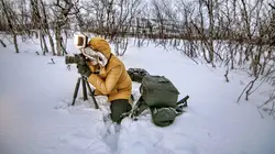 Visuel de Voyages dans la nature enchanteresse : Contes de fées, de feu et de glace