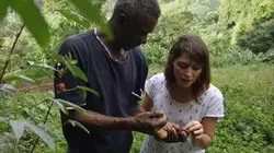 Visuel de Voyages en fête