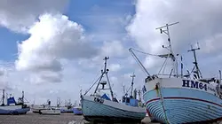 Visuel de Voyages en pays nordiques