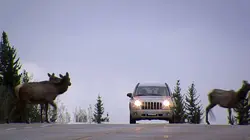 Voyages extraordinaires S01E01 Sur la route