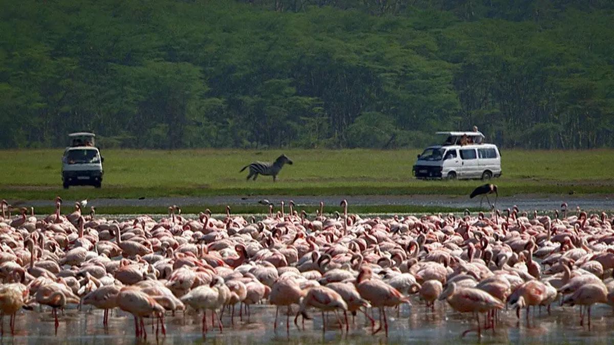 Voyages extraordinaires S01E01 Sur la route