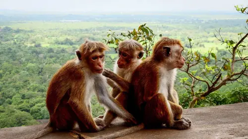 Voyages vert vous Irlande, au pays d'Halloween