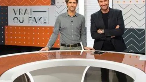 Vrai ou Fake