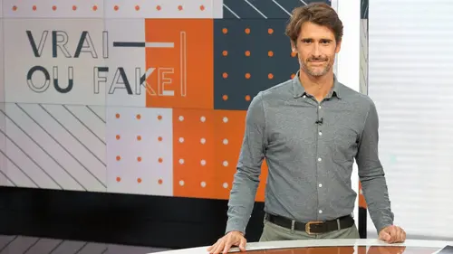 Vrai ou Fake Désinformation : la contagion