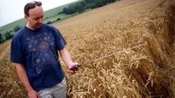 Visuel de Vrai ou faux ?