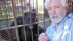 Vrai ou faux ? Le triangle des Bermudes