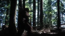 Vrai ou faux? S01E04 Bigfoot