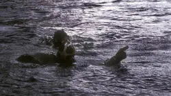 Vrai ou faux ?  E06 Monstres des profondeurs