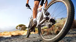 VTT : Entre deux courses