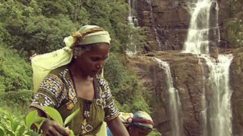 Vu sur Terre S04E00 Sri Lanka