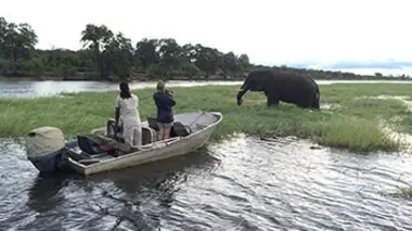 Les aventurières : du Botswana au Costa Rica