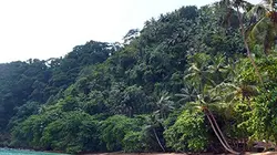 Vu sur Terre S07E05 São Tomé-et-Príncipe