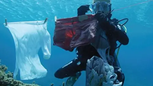 Épisodes de Vu sur Terre, les aventurières