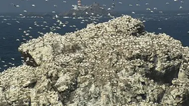 Les îles anglo-normandes