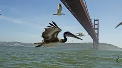 Visuel de Vues d'en haut