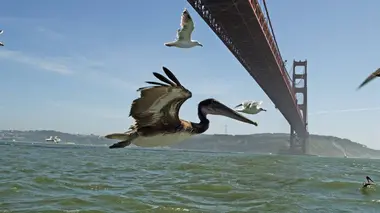 La pointe orientale des Etats-Unis