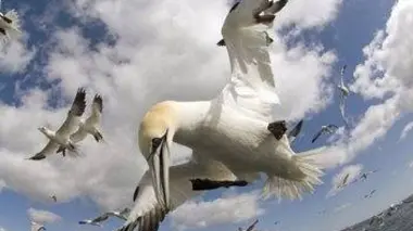 The World From Above