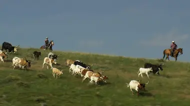 Dans les grandes plaines américaines