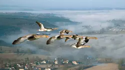 Vues d'en haut  S08E12 Valence et sa région