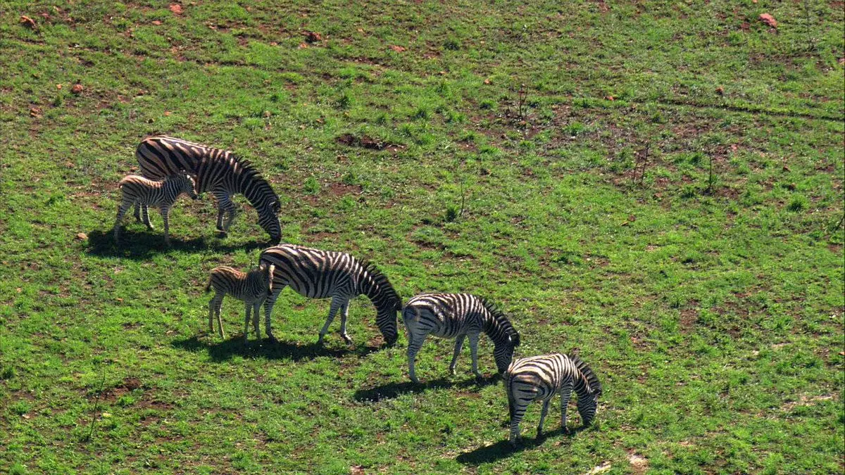 Vues d'en haut S09E00 Au coeur de l'Afrique du Sud
