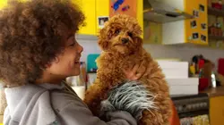 Waffle, le chien waouh en streaming