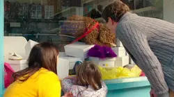 Waffle, le chien waouh S01E23 Au paradis des chaussures